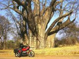 L'Africa Australe